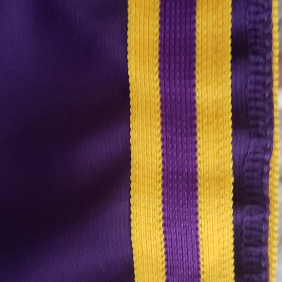 LSU Skirt Cheerleader Mascot  Youth 12 Purple And Gold Geaux 🐅 Tigers - Picture 6 of 6